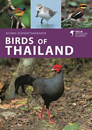 Birds of Thailand