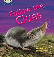 Bug Club Phonics Non-fiction Set 18 Follow the Clues