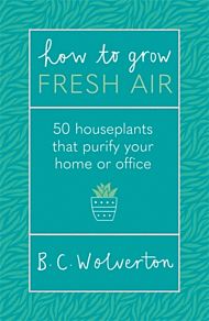 How To Grow Fresh Air