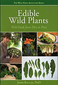 Edible Wild Plants