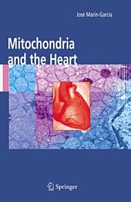 Mitochondria and the Heart