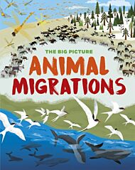 The Big Picture: Animal Migrations