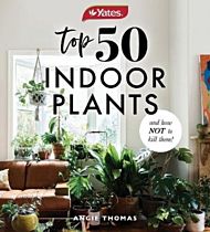 Yates Top 50 Indoor Plants And How Not To Kill Them!