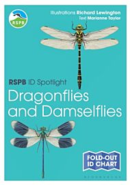 RSPB ID Spotlight - Dragonflies and Damselflies