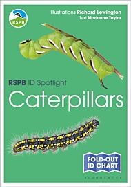 RSPB ID Spotlight - Caterpillars