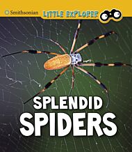 Splendid Spiders