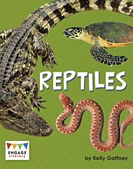 Reptiles