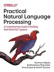 Practical Natural Language Processing