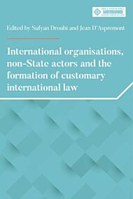 International Organisations, Non-State Actors, and the Formation of Customary International Law