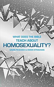 What Does the Bible Teach about Homosexuality?