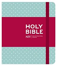 NIV Journalling Mint Polka Dot Cloth Bible