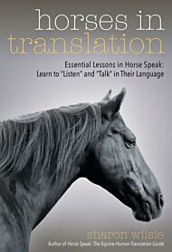 Horses in Translation