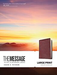 Message Bible