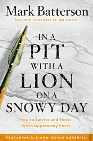 In a Pit with a Lion on a Snowy Day