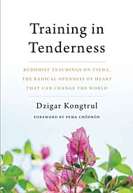 Training in Tenderness