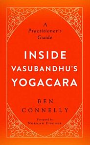 Inside Vasubandhu's Yogacara