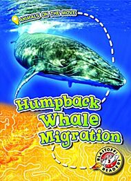 Humpback Whale Migration