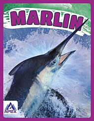 Giants of the Sea: Marlin