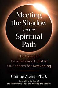 Meeting the Shadow on the Spiritual Path