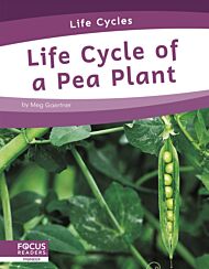 Life Cycles: Life Cycle of a Pea Plant