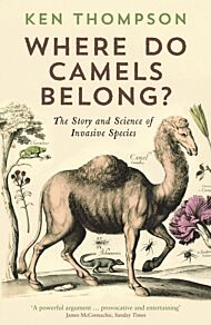 Where Do Camels Belong?