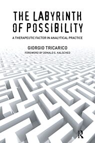 The Labyrinth of Possibility