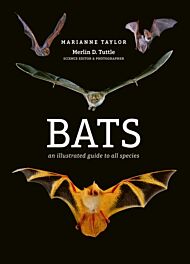 Bats