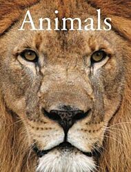 Encyclopedia of Animals