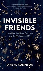 Invisible Friends