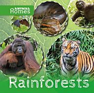 Rainforests