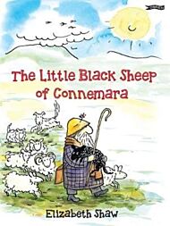 The Little Black Sheep of Connemara