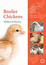 Broiler Chickens Welfare in Practice