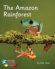 The Amazon Rainforest