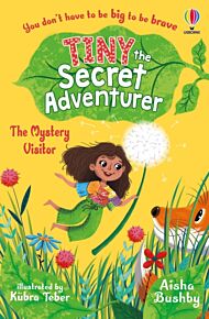 Tiny the Secret Adventurer: The Mystery Visitor