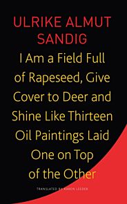 I Am a Field Full of Rapeseed, Give Cover to Deer and Shine Like Thirteen Oil Paintings Laid One on