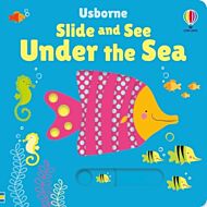 Slide and See Under the Sea