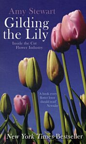 Gilding The Lily