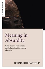 Meaning in Absurdity ¿ What bizarre phenomena can tell us about the nature of reality