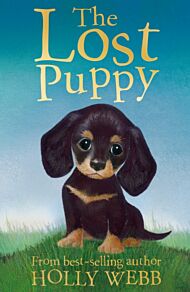 The Lost Puppy