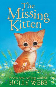 The Missing Kitten