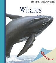 Whales