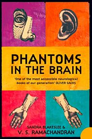 Phantoms in the Brain