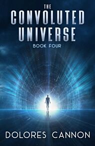 Convoluted Universe: Book Four