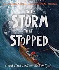 The Storm That Stopped Storybook