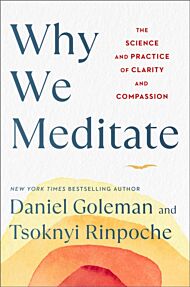 Why We Meditate