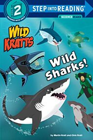 Wild Sharks!