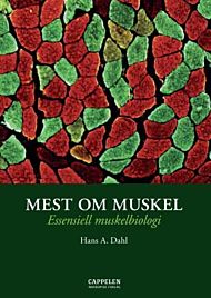 Mest om muskel