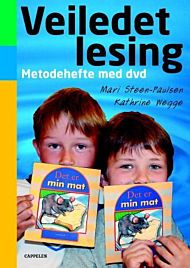 Veiledet lesing