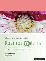 Kosmos YF tema