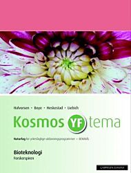 Kosmos YF tema